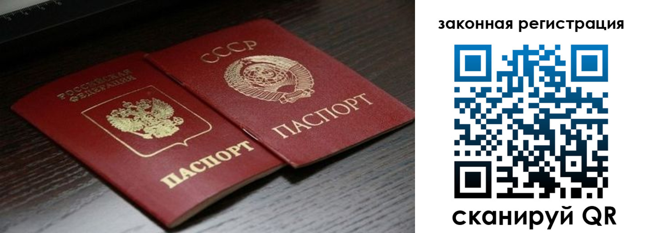 прописка поиск в Шадринске